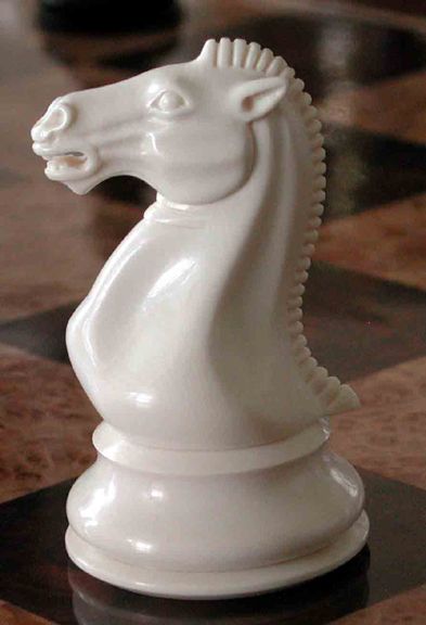 Chess Piece Tattoo, Knight Chess, Chess Moves, Life Drawing Reference, Wife To Be, White Queen, Chess Game, Chess Pieces, White Horse