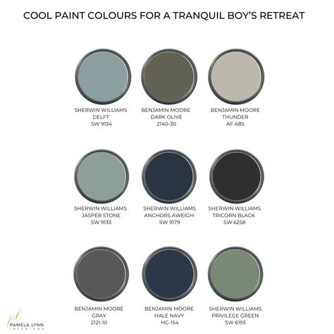 Paint_Colours_for_Boy_Bedroom Paint Colors For Guys Bedroom, Teenage Boys Bedroom Paint Colors, Teen Boys Room Paint Ideas, Paint Colors For Teenage Boys Room, Little Boy Room Colors, Paint Color For Boys Room, Teen Boy Room Paint Colors, Boy Room Color Palette, Nursery Color Palette Boy