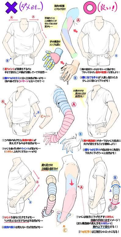 Arm Anatomy, Arm Drawing, Iconic Looks, Body Drawing Tutorial, Manga Drawing Tutorials, Hands On Hips, Human Drawing, Body Reference Drawing, Hand Reference