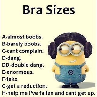 Lingerie Good Morning Quotes | Bra Sizes Pictures, Photos, and Images for… Funny Minion Memes, Minion Pictures, Minion Jokes, Minions Love, A Minion, Morning Funny, Funny Minion Quotes, Minion Quotes, Minions Quotes