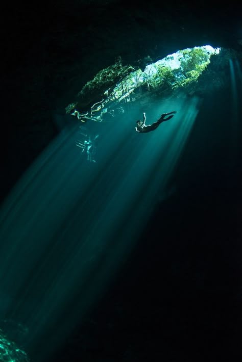 Mexico Cenotes, Mexican Jungle, Jungle Photo, National Geographic Photo Contest, Underwater Caves, Under The Water, Ancient Maya, Best Scuba Diving, Yucatan Peninsula