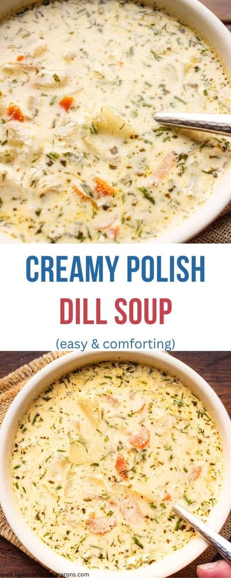 This Polish Dill Soup (Zupa Koperkowa) has a light and flavorful broth that features the bright, tangy flavor of fresh dill. It's the perfect remedy for a cold day. Dill Soup Recipe, Pickled Sausage, Dill Soup, Polish Soup, Summer Soup Recipes, Dill Pickle Soup, Pickle Soup, Spring Soups, Parmesan Soup