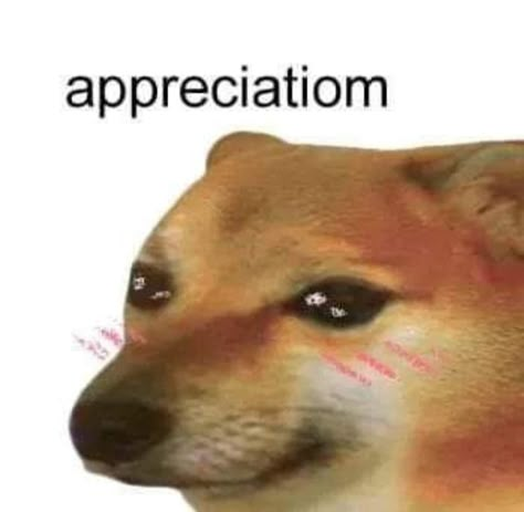 Cheems Doge, Weird Quotes Funny, Reaction Pic, Funny Reaction, Me Too Meme, Funny Profile Pictures, Cartoon Jokes, Wholesome Memes, Cute Memes