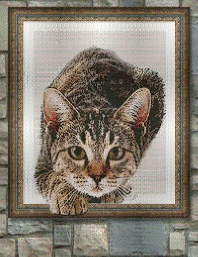 a cat out of the frame, 40 colors cross stitch, 200 x 269 stitches. code a1450 Cross Stitch Cat Pattern, Cat Cross Stitch Pattern Free, Cat Cross Stitch Patterns, Cat Cross Stitch Charts, Large Cross Stitch Patterns, Unusual Animal Friendships, Animal Therapy, Cat Cross Stitches, Animal Friendships