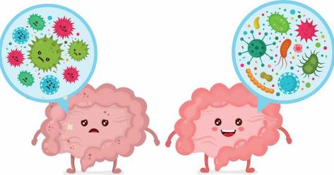 Gut Illustration, Gut Microbiome Illustration, Gut Health Graphic, Gut Health Microbiome, Gut Motility, Gut Microbiota, Gut Bacteria, Healthy Bacteria, Gut Microbiome