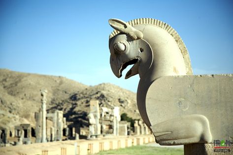 Darius The Great, Persepolis Iran, Cyrus The Great, Visit Iran, Shiraz Iran, Persian Language, Iran Travel, Persian Empire, Ancient Persian