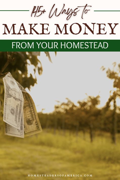 Check out the ULTIMATE homestead income ideas guide! Learn ways to make a profit from your small farm while being a service to your community. Small Farm Layout Ideas, Profitable Small Farm Ideas, Homesteading Business Ideas, Agri Tourism Ideas, Homestead Profit Ideas, Profitable Homestead, Small Homestead Layout, Small Farm Ideas, Farm Stand Ideas