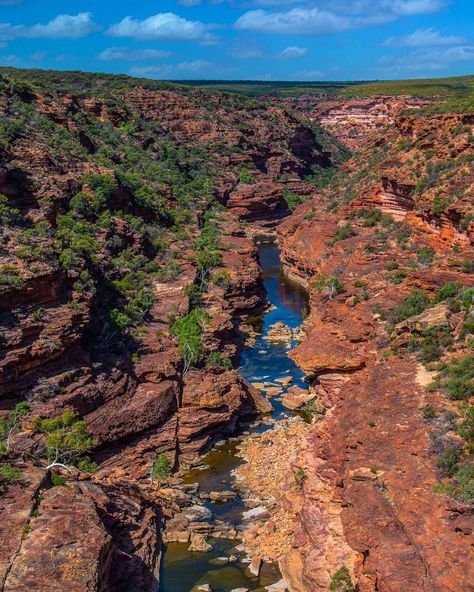 Pond Inspiration, Australian Gothic, Western Australia Travel, Camping Aesthetic, Whole Earth, Scenery Nature, Beautiful Scenery Nature, Australia Travel, Beautiful Scenery