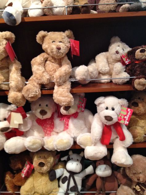 teddy bears | Teddy bears at the Teddy Bear Shop, Melbourne (c) JP Mundy Teddy Images, Huge Teddy Bears, Teddy Shop, Gift Shop Interiors, Huggable Teddy Bear, Teddy Bear Shop, Giant Teddy Bear, Teddy Bear Dog, Giant Teddy