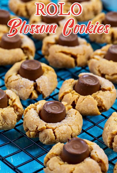 Christmas Cookies With Rolos, Roll Cookies Recipes, Cookies With Rolos, Rollo Cookies, Bisquick Cinnamon Rolls, Rolo Cookies, Blossom Cookies, Peanut Butter Blossoms, Southern Kitchen