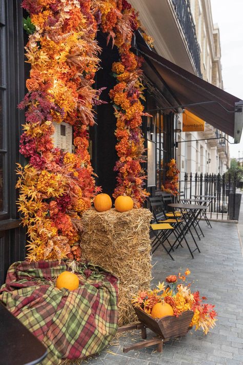 Autumn Display, Thanksgiving Theme, Real Touch Flowers, Fall Party, Restaurant Interior Design, Fall Decorating, Restaurant Interior, Small Decor, Plant Wall