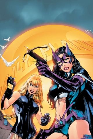 Huntress and Black Canary Gotham Girls, Batman And Catwoman, Female Hero, Arte Dc Comics, Black Canary, Green Arrow, Comics Girl, Dc Characters, Dc Heroes