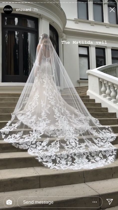 Cathedral Wedding Gown, Wedding Dresses Vale, Wedding Dress With Train And Veil, Wedding Dresses With Long Veil Trains, Long Vail Wedding Dresses, Long Train Long Veil Wedding Dress, Wedding Veils With Ballgown Dress, Wedding Vale Long, Wedding Dress Long Train Cathedral Veils