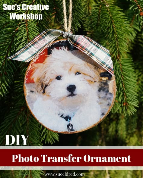 Pet Ornaments Diy, Dog Ornaments Diy, Diy Photo Ornaments, Craft Ideas For Beginners, Crafts For Beginners, Ornaments Diy Kids, Picture Ornaments, Diy Christmas Ornament, Photo Christmas Ornaments