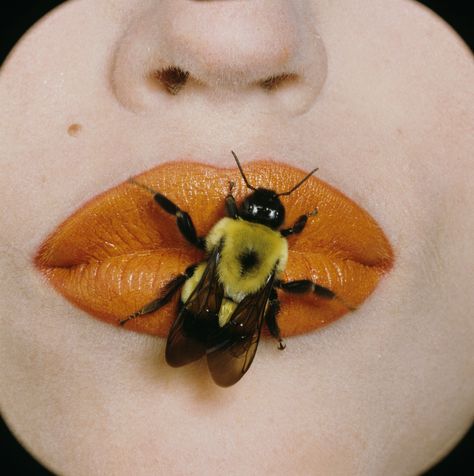 Vogue Photographers, Vogue Photo, Irving Penn, Bee Sting, Vogue Beauty, Fashion Moments, Iconic Fashion, Kelly Wearstler, How To Get Warm