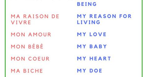 Latin Endearments, French Words To Call Your Boyfriend, Latin Terms Of Endearment, French Terms Of Endearment, Endearments Ideas, French Compliments, French Endearment, Terms Of Endearment List, One Word Compliments