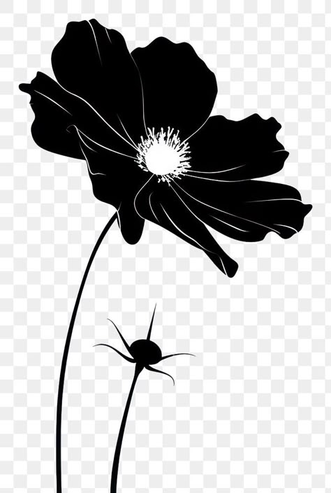 Stencil Flowers, Flower Line Drawing, Flower Black And White, Poppy Drawing, Flower Line Drawings, Drawing Png, White Anemone, Png Flower, Black And White Flower