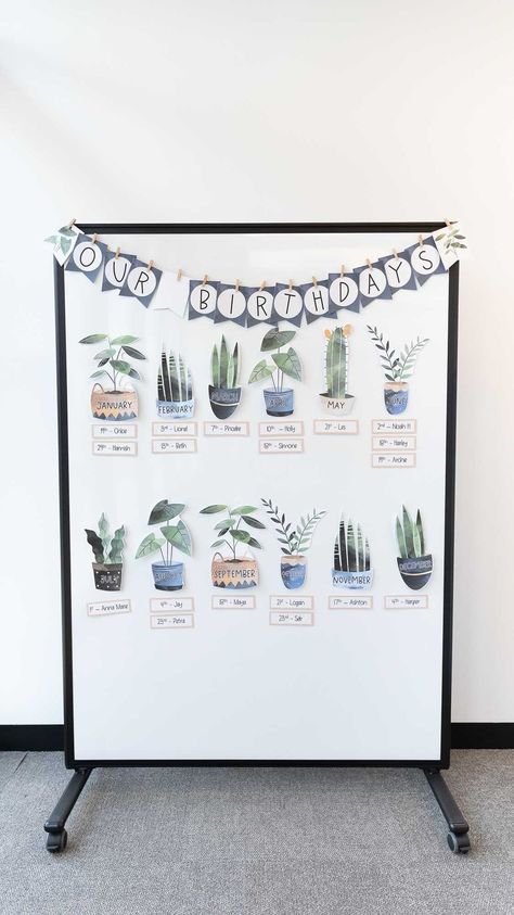 missjacobslittlelearners on Instagram: This is a big statement to make but.... this could be my *favourite* collection to date.... 😱 It launches TOMORROW and I’m just so excited… Birthday Chart Design, Class Birthday Display, Maths Classroom, Birthday Display In Classroom, Natural Classroom, Play Based Classroom, Plants Classroom, Cactus Classroom, Boho Plants