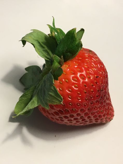 Food Art Reference Photos, Strawberry Still Life Photography, Random Object Reference Photos, Item Reference Photo, Minimalist Still Life Photography, Strawberry Reference Photo, Simple Reference Photos Objects, Art Reference Still Life, Vegetables Reference