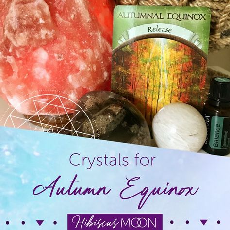 Fall Equinox Crystals, Cat Transport, Crystals Healing Grids, Advent Diy, Phase Of The Moon, Attracting Money, Grounding Crystals, Moon Energy, Autumnal Equinox