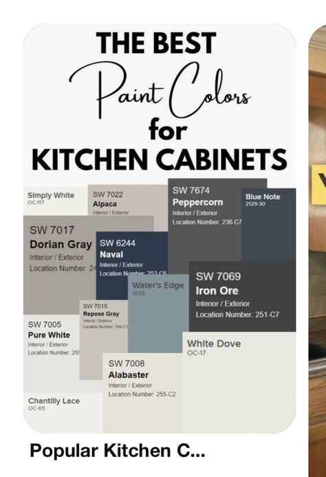 Basement Bar Paint Colors, Urbane Bronze Cabinets Kitchen, Bar Paint Colors, Cabin Painting, Urbane Bronze, Home Paint Color, Rock River, Repose Gray, House Color Palettes