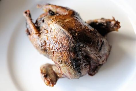 Pigeon recipes Rabbit Recipe, Roast Meat, Wood Pigeon, Food Hunter, Racing Pigeons, Wild Duck, Great British Chefs, Camp Chef, Cornish Hens