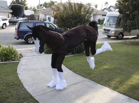 Home made Pantomime Horse cosplay Horse Cosplay, Horse Costume, Big Talk, Horse Costumes, Pantomime, Cosplay Tutorial, Animal Masks, Dress Costume, Arte Animal