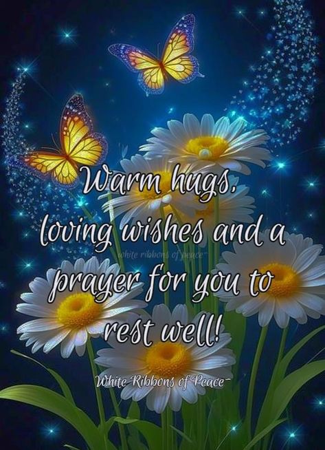 Jw Good Night, Nighty Nighty, Jw Quotes, Night Greetings, Prayer For Peace, Love Wishes, Night Messages, Quotes Short, Good Night Greetings