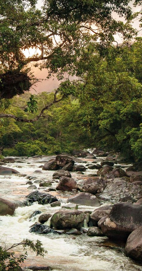 Sunset in Mossman Gorge Mossman Gorge, Cape York, Stunning Nature, The Reef, The Rainforest, Gold Rush, Cairns, Aerial Photography, Australia Travel