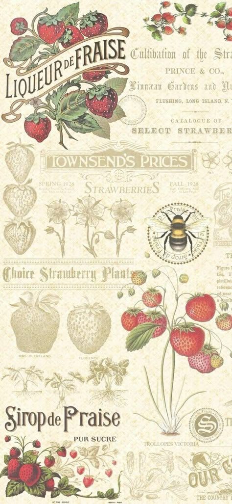 Strawberry Cottagecore Wallpaper, Farmcore Wallpaper, Iphone Wallpaper Strawberry Aesthetic, Plant Aesthetic Wallpaper Drawing, Phone Wallpaper Strawberry, Strawberry Laptop Wallpaper, Strawberry Aesthetic Wallpaper Iphone, Cottagecore Phone Wallpaper, Strawberry Lockscreen