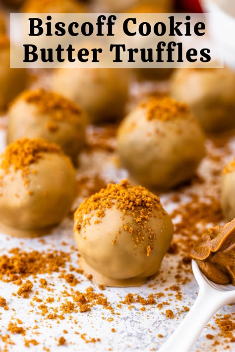 Biscoff Cookie Butter Balls, Cookie Butter Truffles Recipe, Cookie Butter Cake Pops, Unique Easy Dessert Recipes, How To Use Cookie Butter, Biscoff Cookie Butter Desserts, Cookie Butter Snacks, Biscoff Cake Pops, Biscoff Balls Recipe