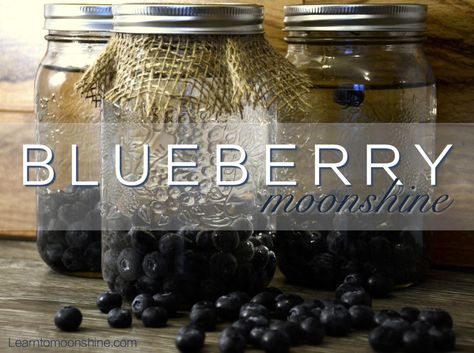 Homemade Blueberry Pie Moonshine Recipe – Learn to Moonshine Blueberry Cobbler Moonshine Recipe, Moon Shine Recipes, Blueberry Moonshine Recipe, Blueberry Pie Moonshine Recipe, Blueberry Canning, Lemonade Moonshine Recipe, Moonshine Recipes Homemade, Blueberry Moonshine, Flavored Moonshine Recipes