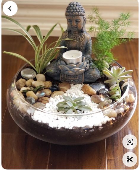 Miniature Zen Garden, Diy Succulent Terrarium, Mini Zen Garden, Buddha Garden, Zen Garden Design, Buddha Decor, Succulent Garden Design, Meditation Garden, Succulent Garden Diy