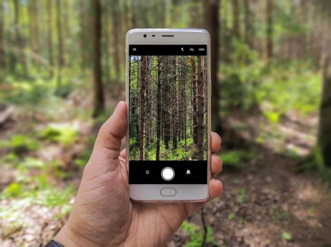 GUEST POST: Can Digital Detox Improve your Learning Abilities? — The Learning Scientists Tech Classroom, Phone Cleaner, Android Photography Tips, Cell Phone Photography, Android Phone Hacks, Android Photography, Wild Food Foraging, Smartphone Hacks, Photo Lessons