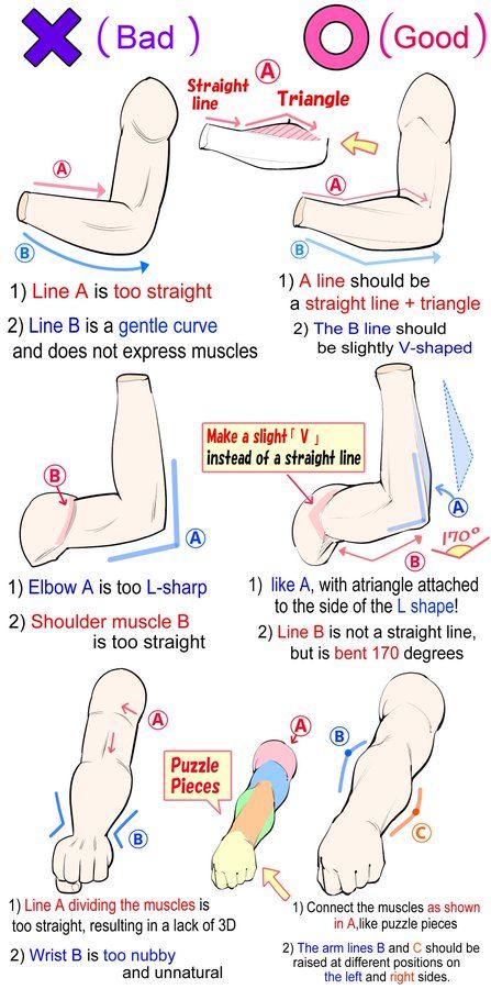 (1) Paula🌹 (@NasukiChan) / Twitter Hands Drawing Reference, 남성 근육, Anatomy Tutorial, Body Drawing Tutorial, Human Anatomy Drawing, Human Anatomy Art, Body Reference Drawing, Body Anatomy, Digital Painting Tutorials