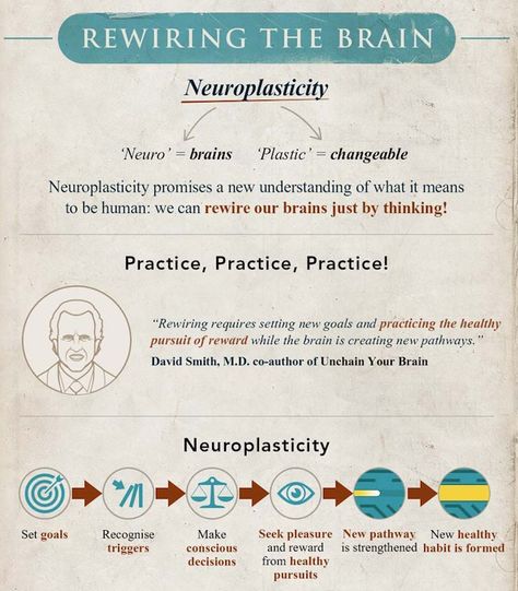 Rewire your brain Brain Rewire, Rewire Your Brain, How Brain Works, Retraining Your Brain, Rewiring Your Brain, How The Brain Works, Emotional Brain Vs Logical Brain, Brain Damage, Brain Activities