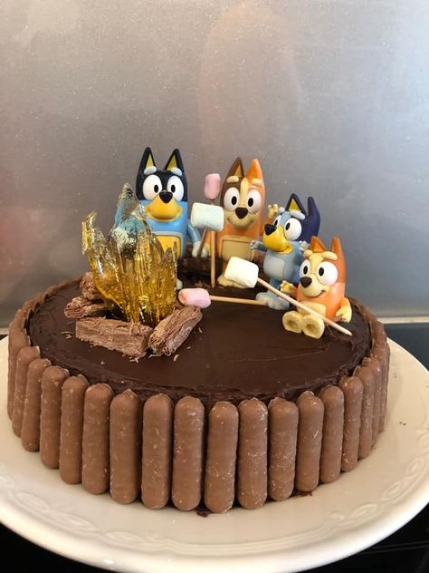 Bluey Camping Cake, Chocolate Bluey Cake, Bluey Cake Ideas For Boys, Bingo Cake Ideas, Bluey Camping, Bluey Cake Ideas, Bingo Cake, Camping Cake, Fiesta Bluey