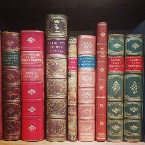 Comprehensive advice on how to begin collecting rare books, especially rare science books. Rare Books Collection, Bookcase Quilts, Enchanted Library, Book Spines, How To Play Chess, Quiet Space, Play Chess, Book Spine, Unread Books