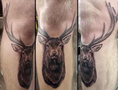 Stag Knee Tattoo, Deer Knee Tattoo, Fun Tattoos, Deer Tattoo, Knee Tattoo, Ink Tattoo, Cool Tattoos, Tatting, Reindeer