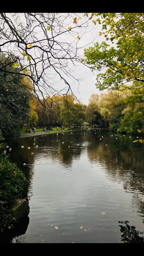 Stephens Green Dublin, Saint Stephen, Dublin Ireland, Beautiful Gardens, Dublin, Pretty Things, Brain, Water, Green