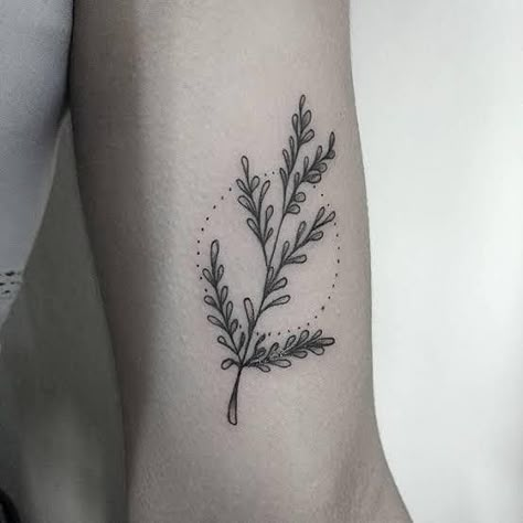 Rue Tattoo, Hs Tattoo, Hand Poke, Future Tattoos, Flash Tattoo, Maple Leaf Tattoo, Cool Tattoos, Flower Tattoo, Flash