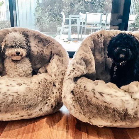 Quality faux fur pet beds for your best friend — Maison Dog - Luxury faux fur pet beds Mr Fluffy Friend Dog Bed, Boucle Dog Bed, Cozy Luxury Dog Beds, Dog Pod, High Rise Dog Bed, Pod Bed, Fleece Pet Bed, Dog Beanie, Fur Bedding