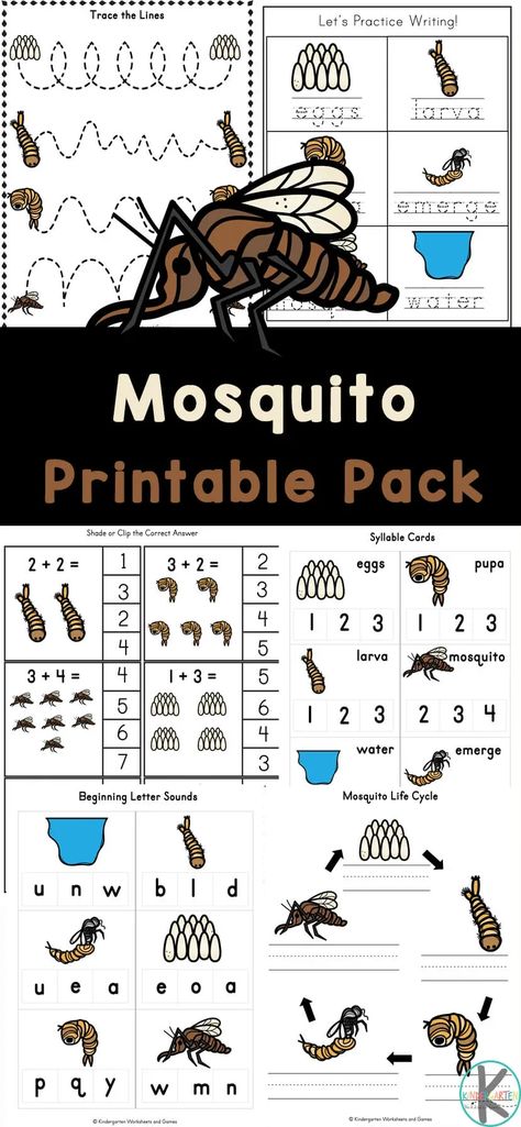 Kids will love working on their math and literacy skills while completing the activities in these Mosquito Worksheets. In this pack of free mosquito printables children will be introduced the life cycle of a mosquito. Simply print insect worksheets for toddler, preschool, pre-k, kindergarten, and first graders. Mosquito Preschool Activities, Pollinator Activities, Life Cycle Of A Mosquito, Mosquito Life Cycle, I Spy Worksheets, Insect Activity, Preschool Counting Worksheets, Bug Activities, Insect Coloring Pages