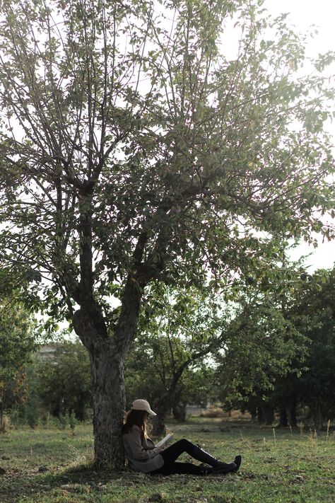 A Person Sitting under a Tree in a Park · Free Stock Photo Person Sitting Under Tree, Person Sitting On Ground, Reading Book Under Tree, Poses In Park, Zombie Au, Peaceful Reading, Sitting Under A Tree, A Person Sitting, Inktober 2024