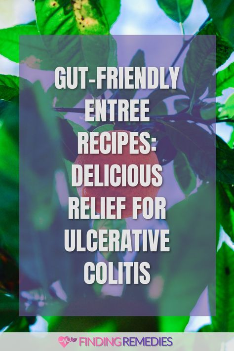 Gut-Friendly Entree Recipes: Delicious Relief for Ulcerative Colitis Ulcer Colitus Recipes, Ulcerative Diet Recipes, Uc Recipes, Foods For Ulcers, Uc Diet, Ulcer Diet, Autoimmune Diet Recipes, Inflammation Diet Recipes, Sweet Potato Recipes Mashed