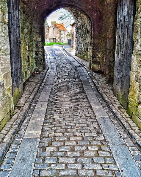 Darren Chapman on Instagram: “#cowgate #berwickupontweed #cobblestone #arches #history #berwickwalls #architecture #history #worthavisit #stayandwander #followmyjourney…” Berwick Upon Tweed, Beautiful Borders, Scottish Borders, Architecture History, Adventure Bucket List, Beautiful Places On Earth, Most Beautiful Places, Wonderful Places, Family History