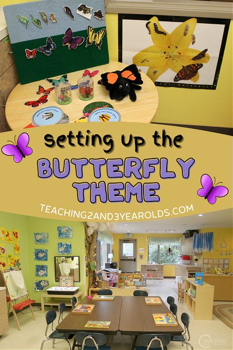 This week our toddler and preschool classroom is set up for the butterfly theme. While we learn about the butterfly life cycle, we will have lots of hands-on learning activities offered throughout our classroom. #butterflies #caterpillars #bugs #spring #theme #classroom #teachers #earlychildhood #toddler #preschool #AGE2 #AGE3 #teaching2and3yearolds Preschool Butterfly Theme, Butterfly Classroom Theme, Preschool Butterfly, Butterflies Classroom, Butterfly Tea Party, Butterfly Lessons, April Preschool, September Activities, Butterflies Activities