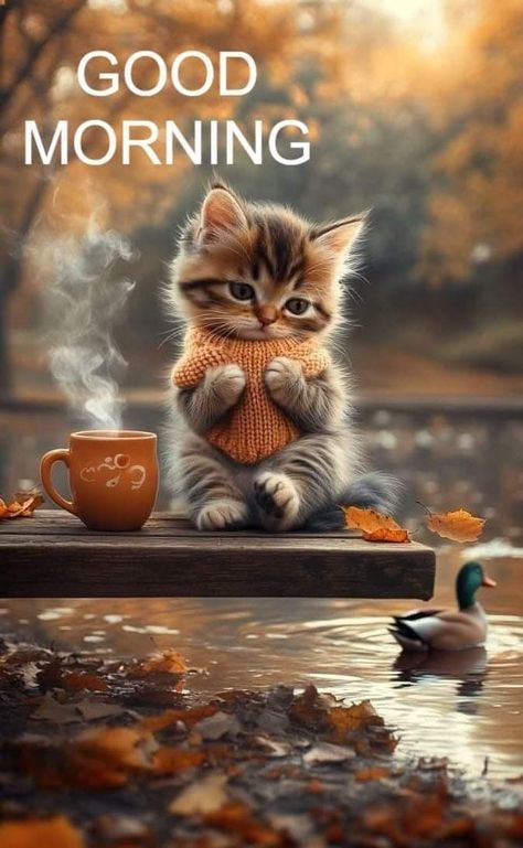 Funny Weekend, Good Morning Cat, Coffee Mornings, Good Night Cat, Morning Cat, Cute Cat Memes, Good Morning Funny Pictures, Cute Good Morning Images, Good Morning Sunshine Quotes