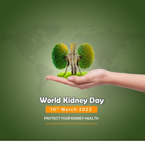 On World Kidney Day, keep your kidneys healthy, so that they can continue to work properly. #WorldKidneyDay #kidneyday #kidneyhealth #KidneyDisease #KidneyTransplant #ProtectYourKidneys #kidney #WorldKidneyDay2022 World Kidney Day, Gym Wallpaper, World Health Day, Health Trends, Kidney Health, Health Day, Smart Things, Gym, Health