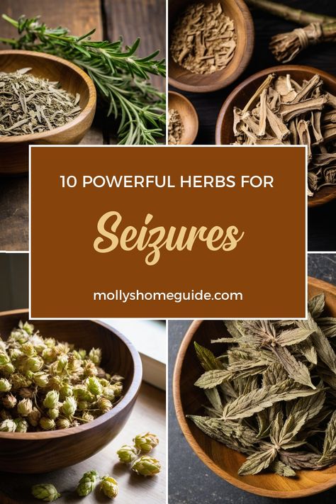 Discover the power of natural remedies for seizures with herbs like ginseng, rosemary, and passionflower. Explore the benefits of CBD for epilepsy and nervous system support. Enhance your memory with herbs like Ginkgo biloba and Bacopa. Incorporate nervines such as sage and holy basil into your routine for calming effects. Unlock the potential of herbal treatments like ashwagandha and wormwood in managing epilepsy symptoms. Herbs For Seizures, Herbs For Nervous System, Natural Remedies For Seizures, Herbs For Fever, Herbal Nervines, Wormwood Benefits, Bacopa Benefits, Ginkgo Biloba Benefits, Apothecary Supplies